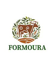 FORMOURA ERP logo